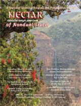 Nectar 41 Cover