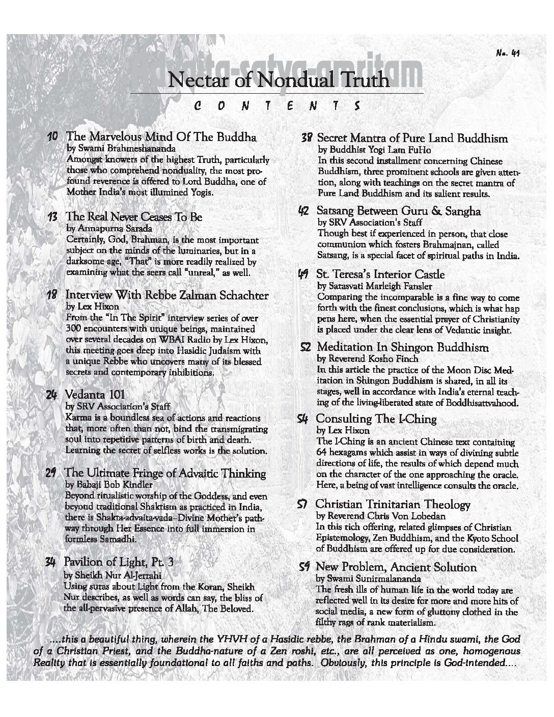 Nectar of Nondual Truth #41 - Print Copy - Image 2